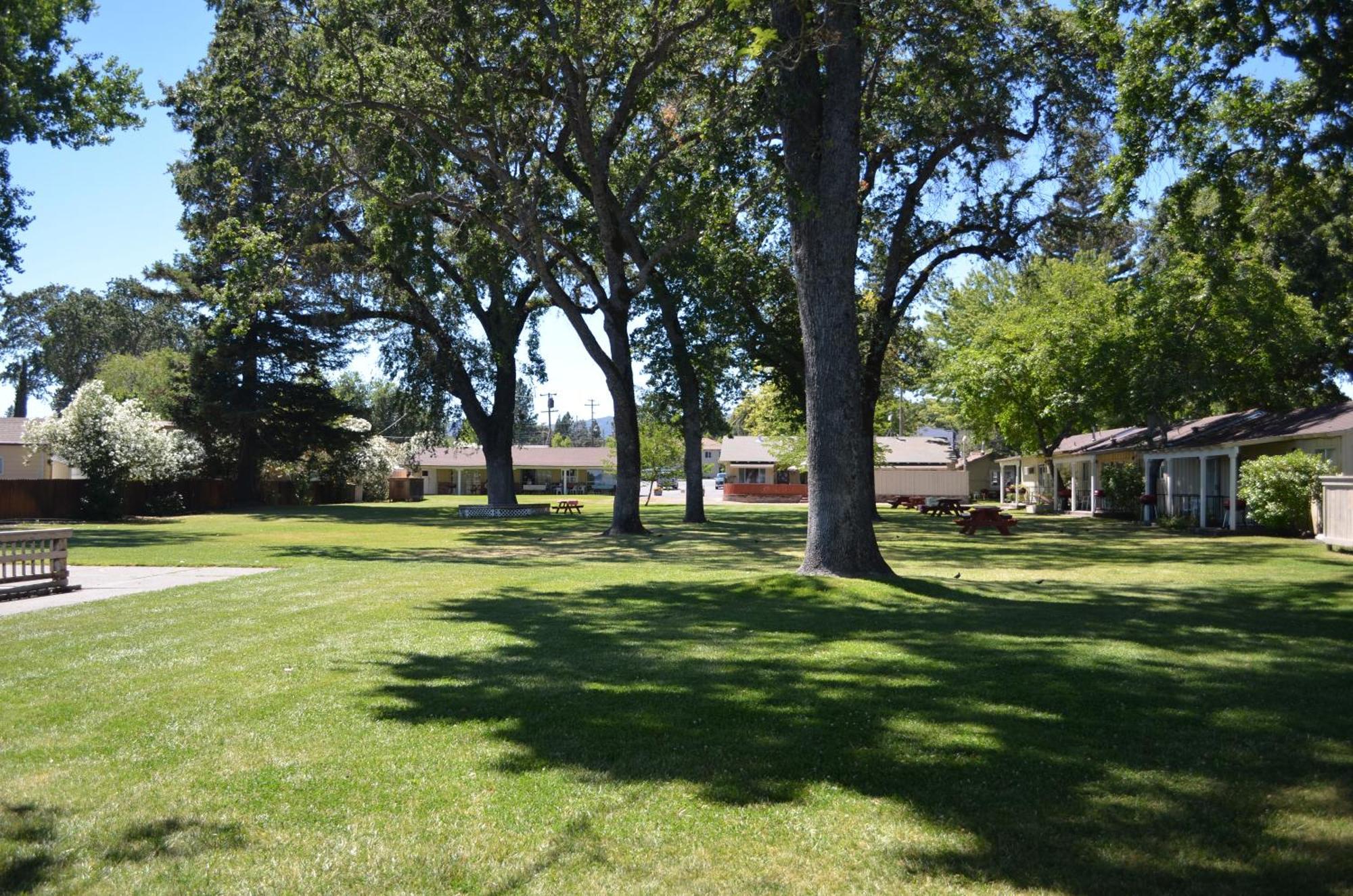Skylark Shores Resort Lakeport Buitenkant foto